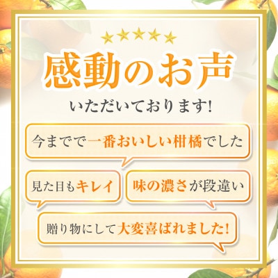 【愛媛名産】玉宝甘夏　6kg【C64-74】