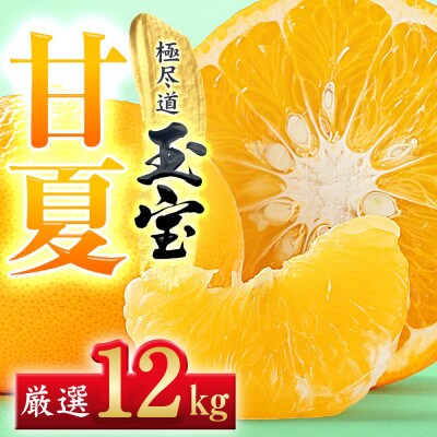 【愛媛名産】玉宝甘夏　12kg【F64-75】
