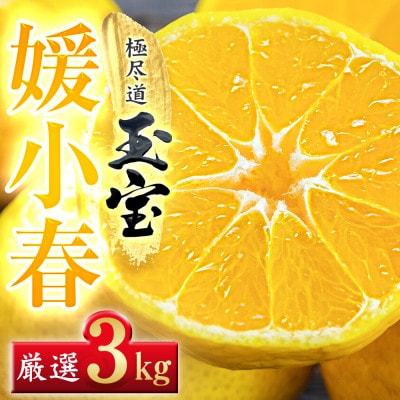【愛媛名産】玉宝媛小春(ひめこはる)　3kg【E64-86】