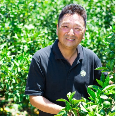 【愛媛名産】玉宝媛小春(ひめこはる)　3kg【E64-86】