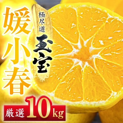 【愛媛名産】玉宝媛小春(ひめこはる)　10kg【H64-88】