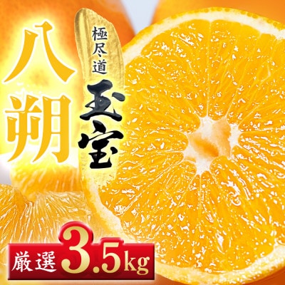 【凛とした苦み】クセになる旨み【八朔】3.5kg　愛媛県産【64-102】