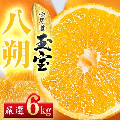 【凛とした苦み】クセになる旨み【八朔】6kg　愛媛県産【64-101】