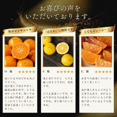 【凛とした苦み】クセになる旨み【八朔】6kg　愛媛県産【64-101】