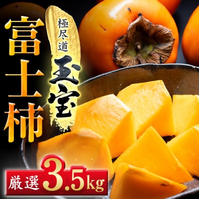 【堂々たる大玉】ずっしり濃密【富士柿】3.5kg　愛媛県産【64-96】