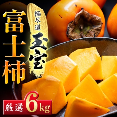 【堂々たる大玉】ずっしり濃密【富士柿】6kg　愛媛県産【64-95】