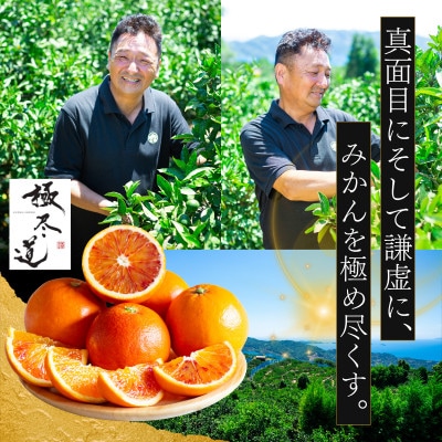 【堂々たる大玉】ずっしり濃密【富士柿】6kg　愛媛県産【64-95】