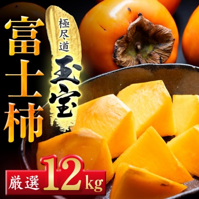 【堂々たる大玉】ずっしり濃密【富士柿】12kg　愛媛県産【64-94】