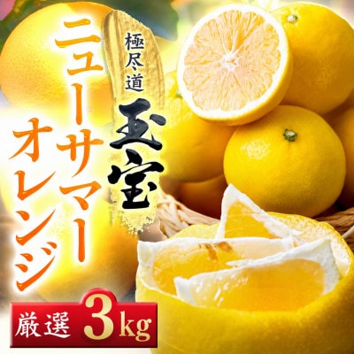 【愛媛名産】玉宝ニューサマーオレンジ　3kg【64-105】