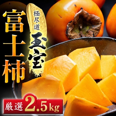 【堂々たる大玉】ずっしり濃密【富士柿】2.5kg　愛媛県産【64-104】