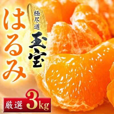 【果粒の旨み】ぷちぷち食感【はるみ】3kg　愛媛県産【64-103】