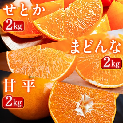 【発送月固定定期便】「蜜時(みつどき)便り」高級3品種　まどんな+甘平+せとか【H64-91】全3回