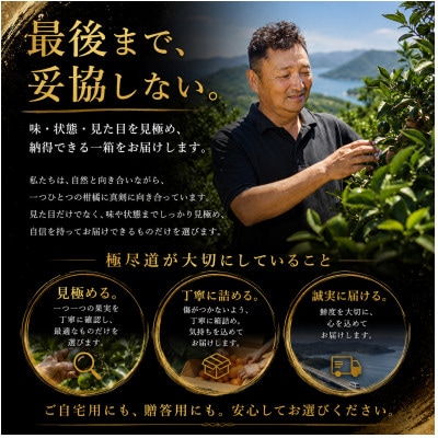 【発送月固定定期便】「蜜時(みつどき)便り」高級3品種　まどんな+甘平+せとか【H64-91】全3回