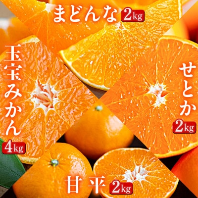 【発送月固定定期便】「蜜時(みつどき)便り」愛媛限定のまどんなや甘平も届きます【H64-92】全4回