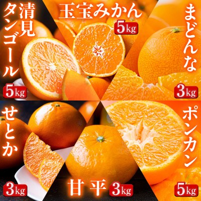 【発送月固定定期便】「蜜時(みつどき)便り」みかんやまどんな、甘平、せとかなど【H64-93】全6回
