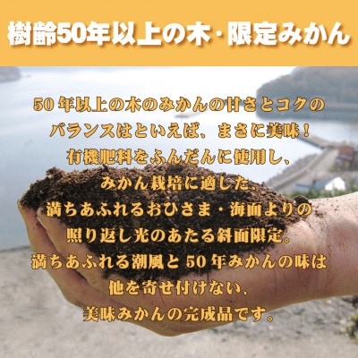 みさき果樹園の樹齢50年越え えひめ西宇和のみかん5kg　S・2Sサイズ【C21-15】