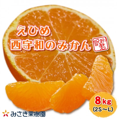 【訳あり君】みさき果樹園のえひめ西宇和のみかん　8kg　2S～L混合【D21-17】