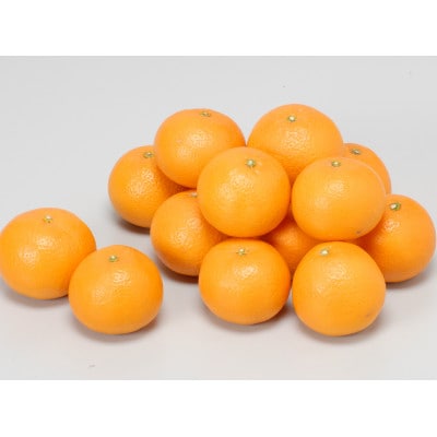 【先行受付】清見タンゴール5kg 贈答品【C21-25】