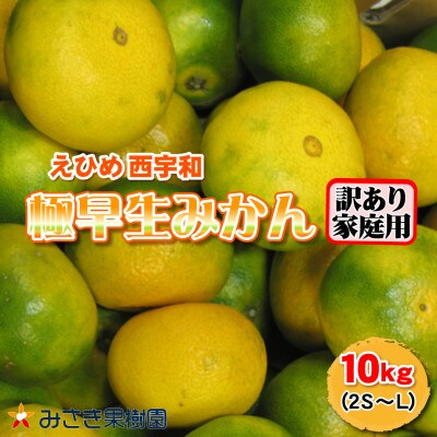 【訳あり君】極早生みかん 10kg 愛媛県産【C21-30】