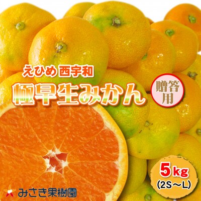 極早生みかん 5kg 愛媛県産【C21-29】