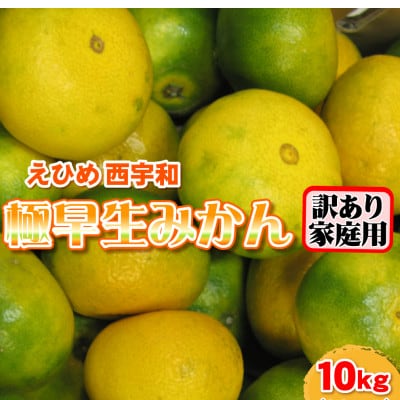 西宇和産極早生みかん訳あり10kg【C21-39】