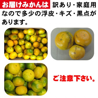 西宇和産極早生みかん訳あり10kg【C21-39】