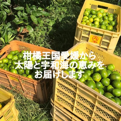 ふぅ　和歌山県産ゆら早生みかん赤秀2S10kg、4S5kg imgrc0104057049.jpg