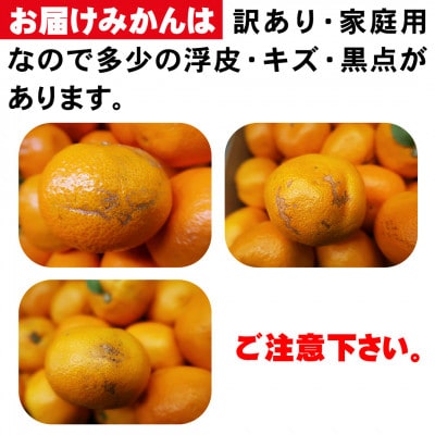 【訳あり】西宇和みかん小玉5kg(小玉3S~Sサイズ込み)【C21-46】