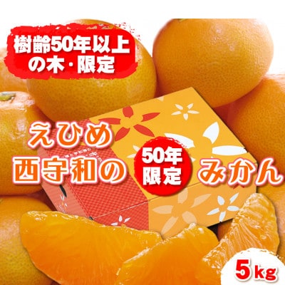みさき果樹園の段々畑育ち 西宇和産みかん5kg【C21-47】