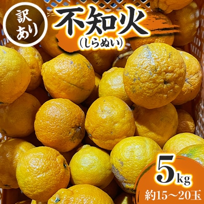 【訳あり】不知火(しらぬい)5kg【C21-52】