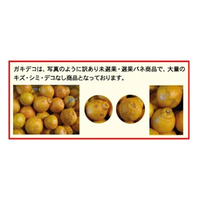 【訳あり】不知火(しらぬい)5kg【C21-52】