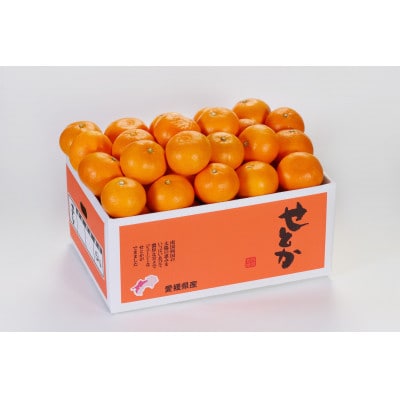 せとか3kg(秀品)【D21-53】