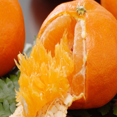 【家庭用】甘平2kg【C21-57】