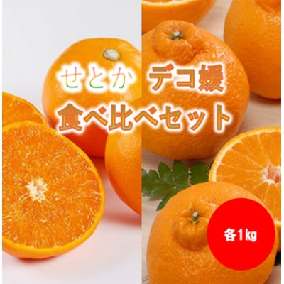 みさき果樹園の大人気せとか・デコ媛各1kg【B21-59】