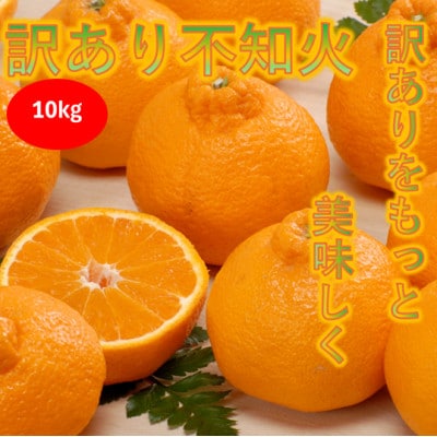 【訳あり】みさき果樹園の不知火10kg【C21-61】