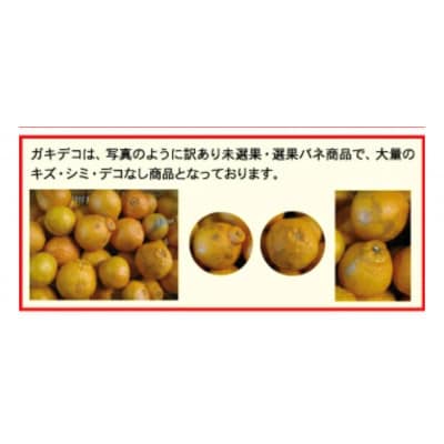 【訳あり】みさき果樹園の不知火10kg【C21-61】