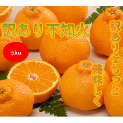 【訳あり】みさき果樹園の不知火5kg【A21-62】