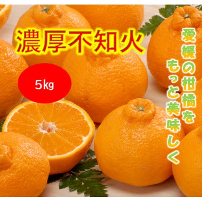 みさき果樹園で栽培・収穫・段々畑育ちの濃厚不知火5kg【C21-63】