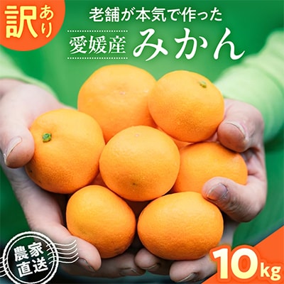 【訳あり】愛媛産みかん 10kg 老舗が本気で作った愛媛産みかん(農家直送)【21-69】