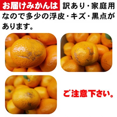 【訳あり】愛媛産みかん 10kg 老舗が本気で作った愛媛産みかん(農家直送)【21-69】