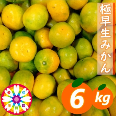 「 極早生 みかん 」約6kg《 愛咲果樹園 》【C71-2】