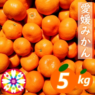 「 愛媛 みかん 」約5kg《 愛咲果樹園 》【C71-5】