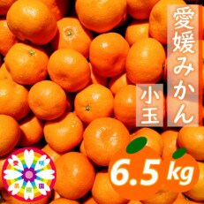 「 愛媛 みかん 」 小玉 約6.5kg《 愛咲果樹園 》【C71-6】 | ふるさと納税のお礼品