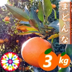 「 愛咲果樹園のまどんな 」約 3kg 【C71-9】