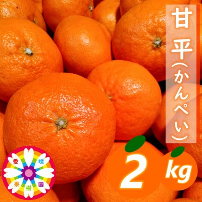 愛咲果樹園 「 甘平 」約2kg【C71-11】