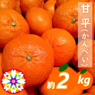 愛咲果樹園 「 甘平 」約2kg【C71-11】