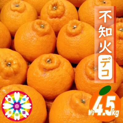 愛咲果樹園 「 不知火 ( デコ )」約4.5kg【C71-12】