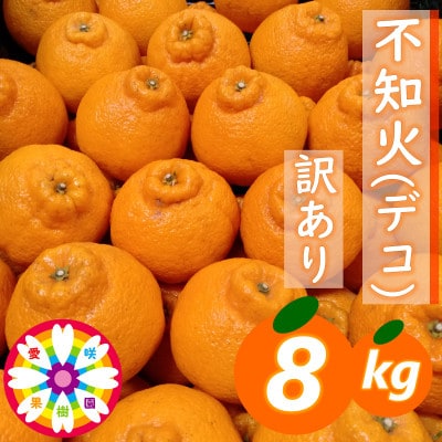 愛咲果樹園 「 不知火 ( デコ )」 訳あり 約8kg【C71-13】
