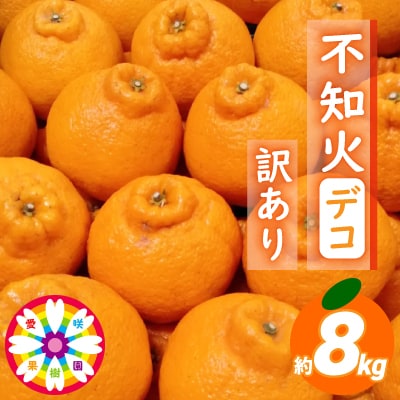 愛咲果樹園 「 不知火 ( デコ )」 訳あり 約8kg【C71-13】