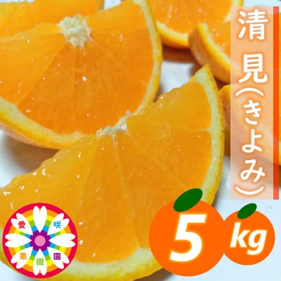 愛咲果樹園 「 清見 」約5kg【C71-14】
